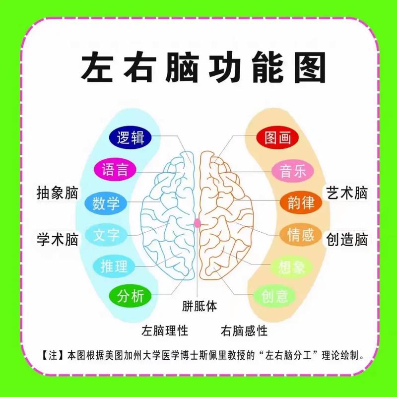 飞起起飞,如何规划你的职业道路?